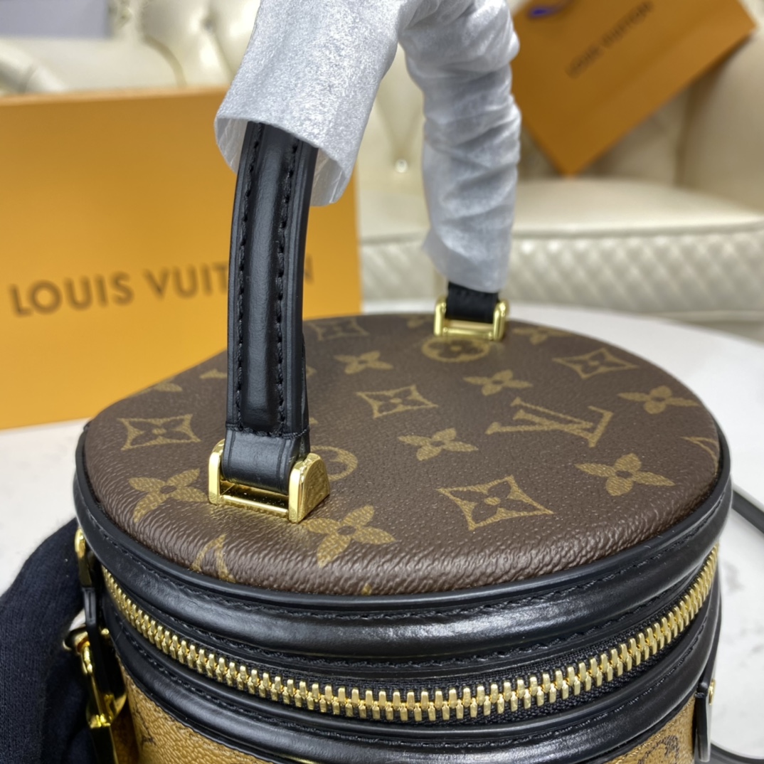 Louis Vuitton CANNES Monogram Case Handbag M43986 